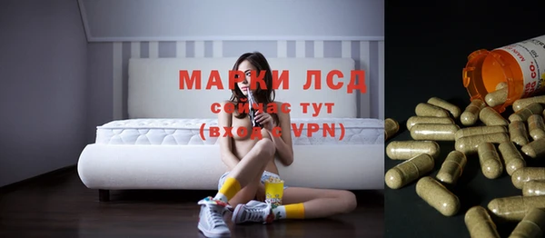 гашик Беломорск