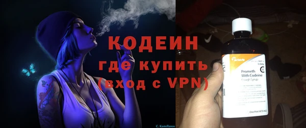 индика Баксан