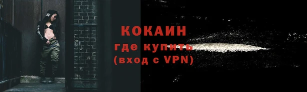 гашик Беломорск