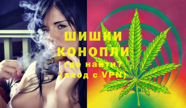 сатива Белокуриха