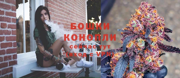 сатива Белокуриха