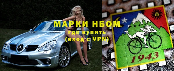 сатива Белокуриха