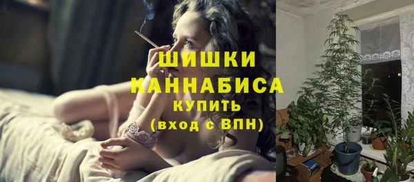 сатива Белокуриха