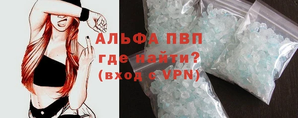 сатива Белокуриха