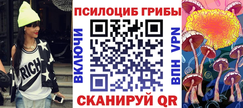 Купить где  Ардатов  Псилоцибиновые грибы прущие грибы 